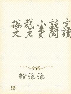 总裁小说完结全文免费阅读全文