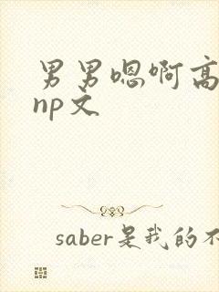 男男嗯啊高h黄np文封面