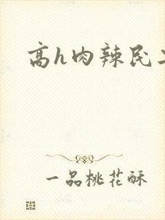 高h肉辣民工文