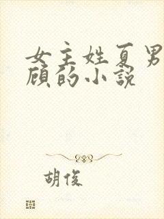 女主姓夏男主姓顾的小说