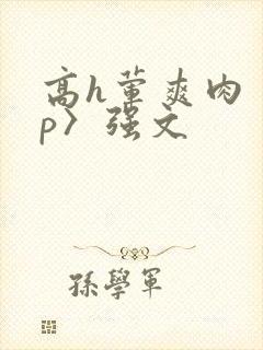 高h荤爽肉〈np〉强文