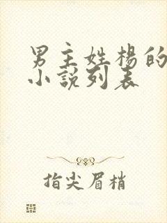 男主姓杨的玄幻小说列表