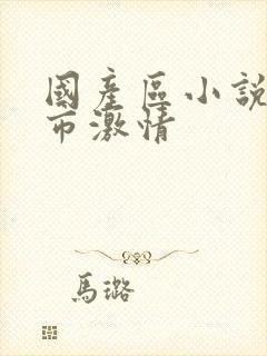 国产区小说区都市激情