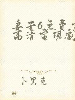 妻子6免费完整高清电视剧