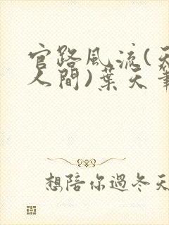 官路风流(天上人间)叶天笔趣阁无弹窗