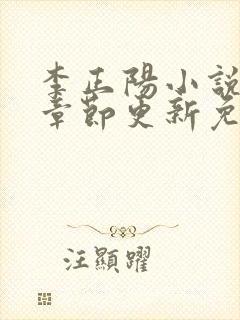 李正阳小说最新章节更新免费阅读