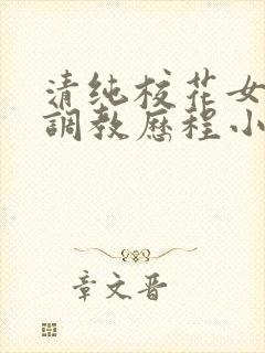 清纯校花女友的调教历程小说封面