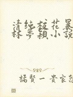 清纯校花暴露记林梦颖小说免费阅读最新章