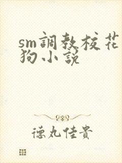 sm调教校花母狗小说