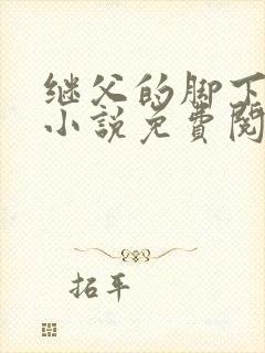 继父的脚下王浩小说免费阅读