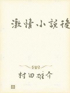 激情小说后妈封面