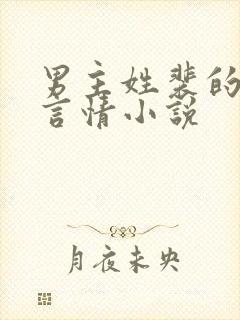 男主姓裴的现代言情小说