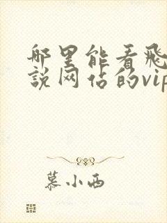 哪里能看飞卢小说网站的vip的书