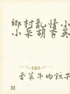 乡村乱情小雷和小采胡秀英