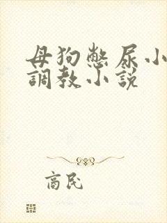 母狗憋尿小尿奴调教小说封面