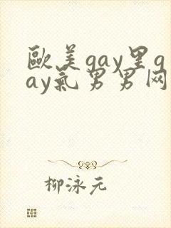 欧美gay里gay气男男网站