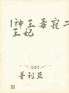 l神王毒宠二嫁王妃