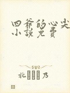 四爷的心尖宠妃小说免费