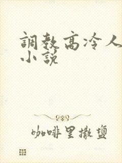 调教高冷人妻的小说封面