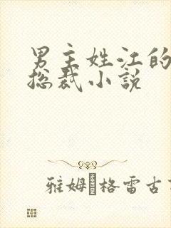 男主姓江的现代总裁小说