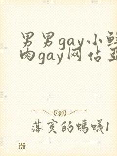 男男gay小鲜肉gay网站亚洲