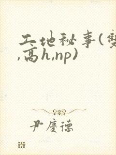 工地秘事(双性,高h,np)封面