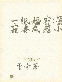 一纸婚宠:墨少宠妻成瘾小说