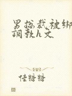 男总裁被绑在床调教h文