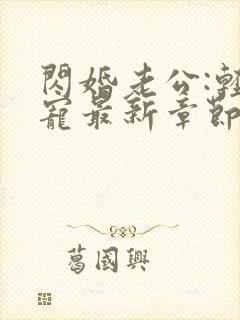 闪婚老公:轻点宠最新章节目录