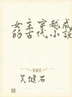 女主穿越成外室的古代小说封面