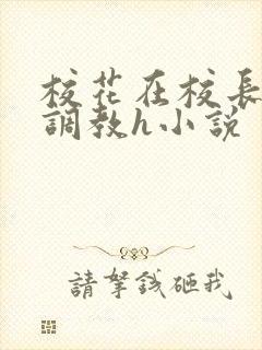 校花在校长室被调教h小说封面