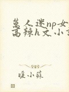 万人迷np女嬷高辣h文小说免费阅读