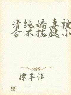清纯娇妻被c得合不拢腿小说
