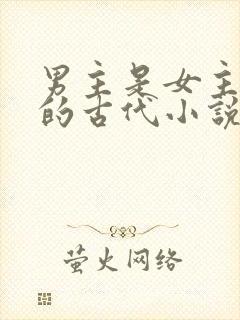 男主是女主护卫的古代小说