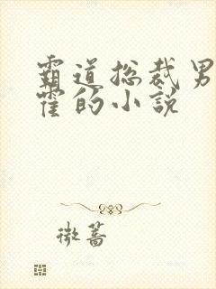 霸道总裁男主姓霍的小说