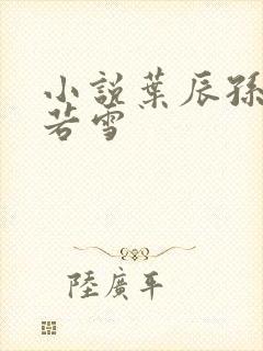 小说叶辰孙怡夏若雪