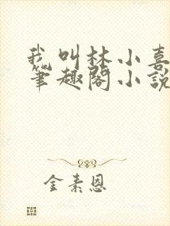 我叫林小喜乖宝笔趣阁小说