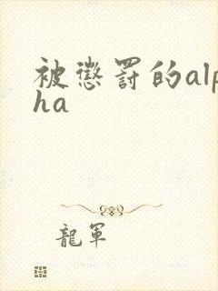 被惩罚的alpha