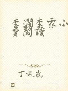 李澜李霖小说免费阅读