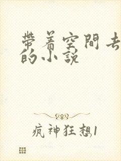 带着空间去穿越的小说封面