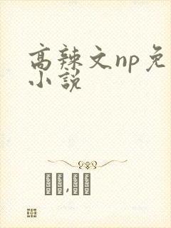 高辣文np免费小说