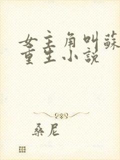 女主角叫苏离的重生小说