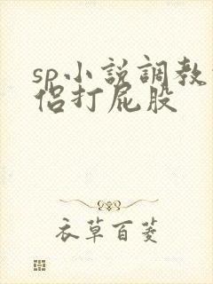 sp小说调教情侣打屁股