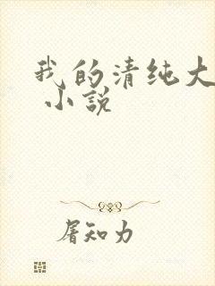我的清纯大小姐 小说