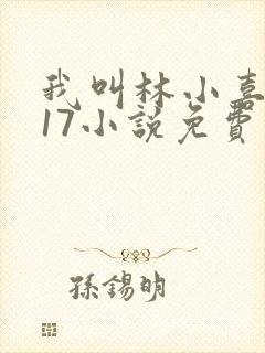 我叫林小喜今年17小说免费看