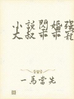 小说闪婚强宠:大叔乖乖宠我