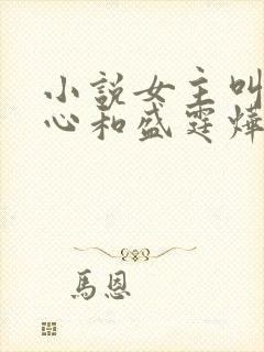 小说女主叫初之心和盛霆烨