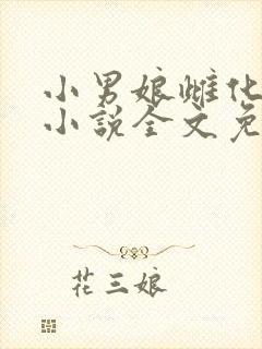 小男娘雌化女装小说全文免费观看