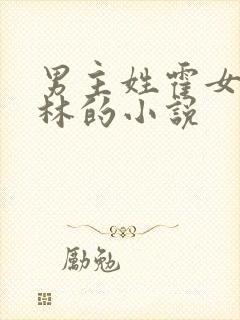 男主姓霍女主姓林的小说