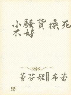 小骚货操死你好不好封面